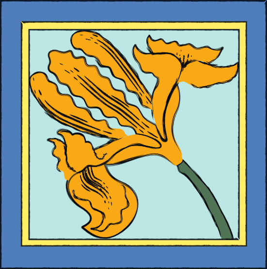 Iris